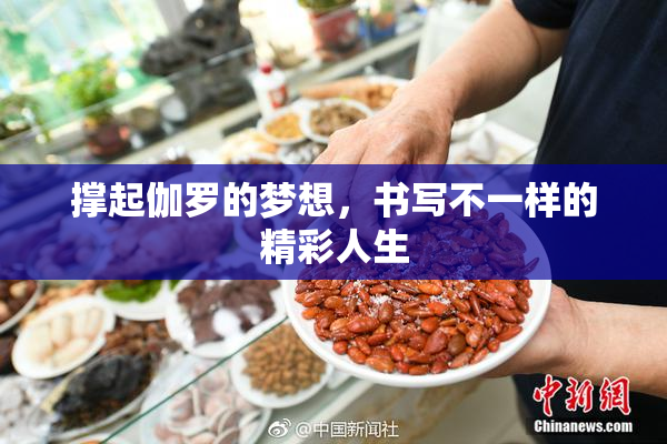 撑起伽罗的梦想，书写不一样的精彩人生
