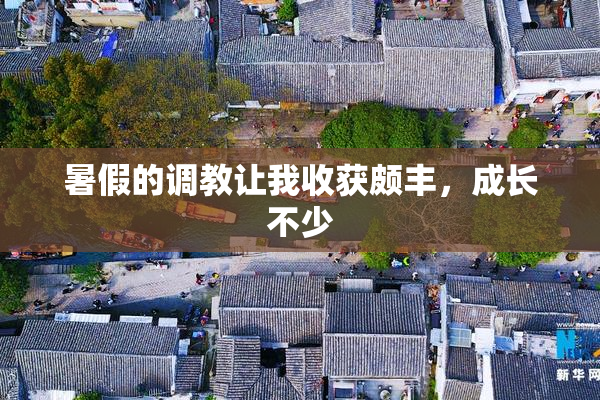 暑假的调教让我收获颇丰，成长不少