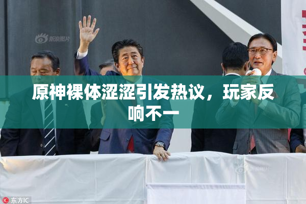 原神裸体涩涩引发热议，玩家反响不一