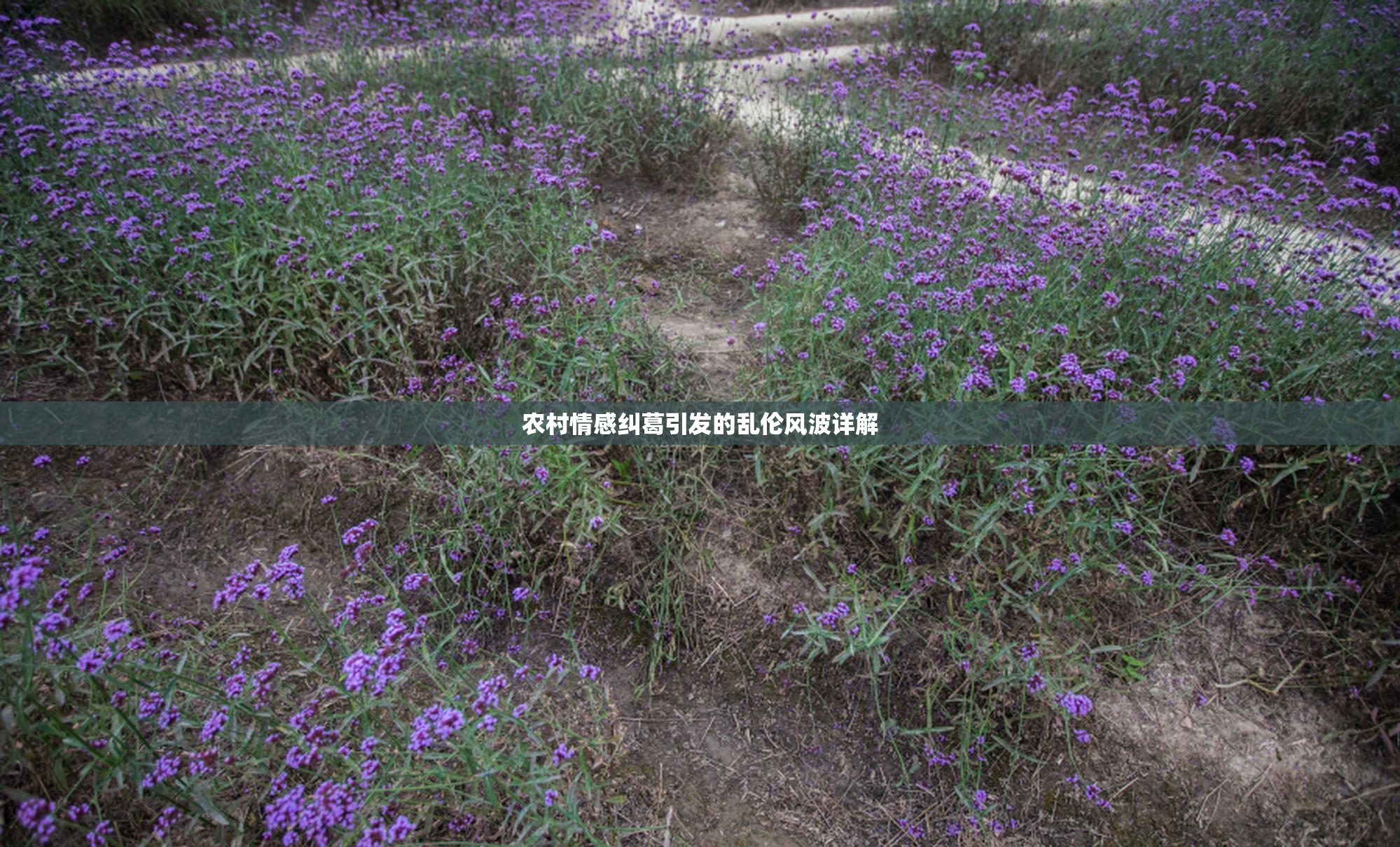 农村情感纠葛引发的乱伦风波详解