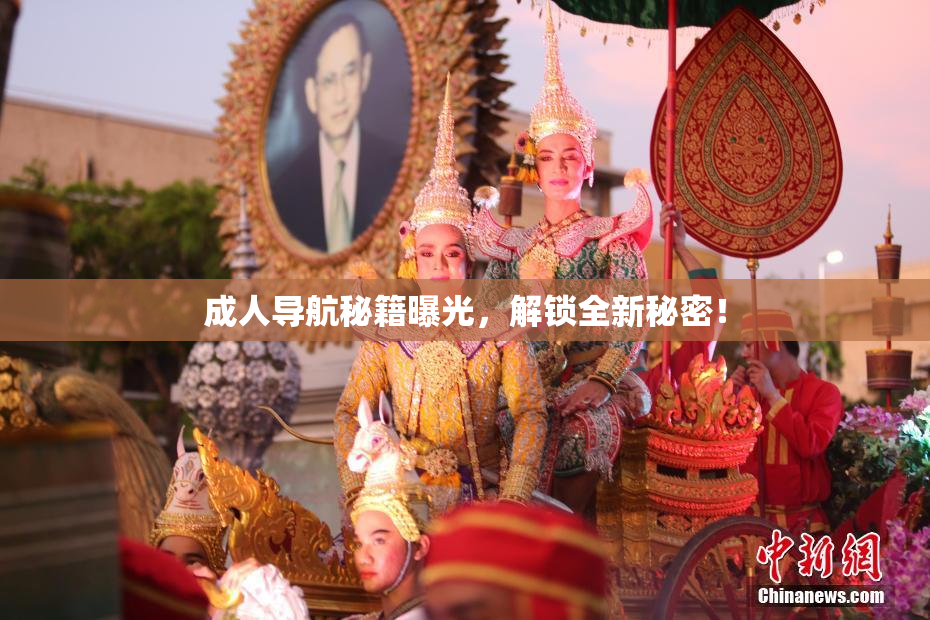 成人导航秘籍曝光，解锁全新秘密！