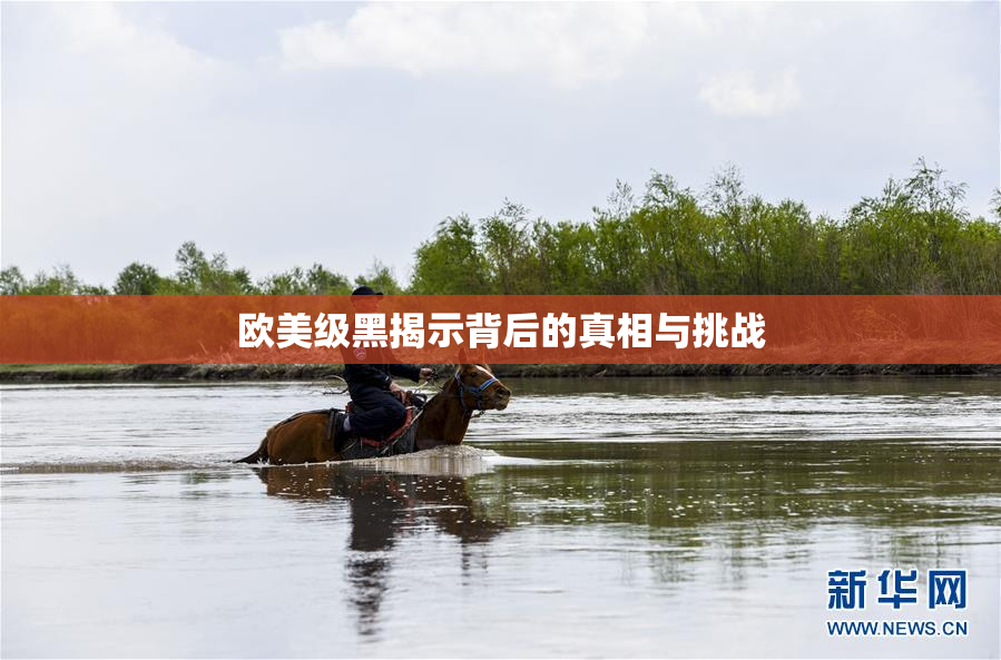 欧美级黑揭示背后的真相与挑战