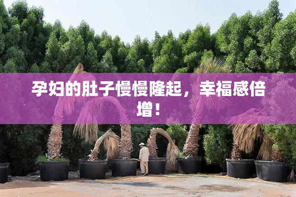 孕妇的肚子慢慢隆起，幸福感倍增！