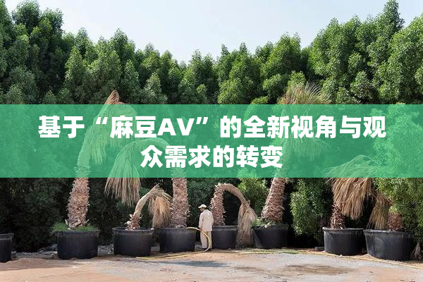基于“麻豆AV”的全新视角与观众需求的转变