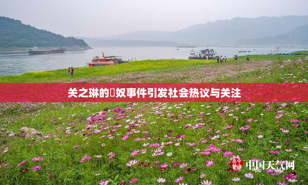 关之琳的婬奴事件引发社会热议与关注