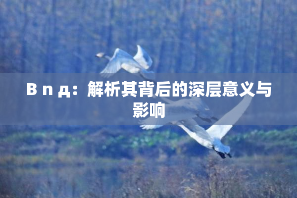 B n д：解析其背后的深层意义与影响