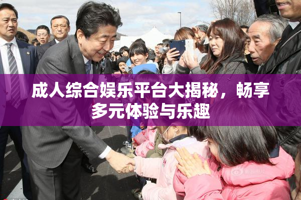 成人综合娱乐平台大揭秘，畅享多元体验与乐趣