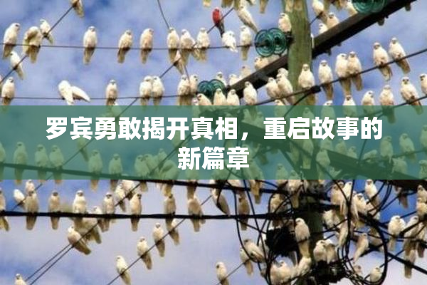 罗宾勇敢揭开真相，重启故事的新篇章