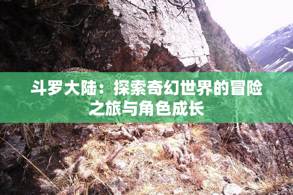 斗罗大陆：探索奇幻世界的冒险之旅与角色成长