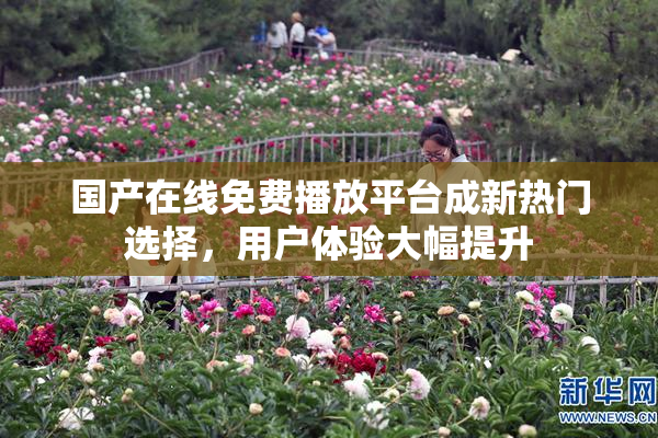 国产在线免费播放平台成新热门选择，用户体验大幅提升