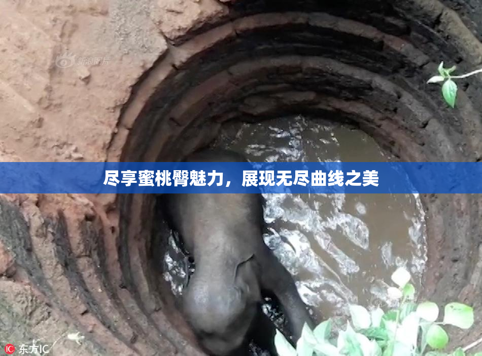 尽享蜜桃臀魅力，展现无尽曲线之美