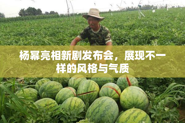 杨幂亮相新剧发布会，展现不一样的风格与气质