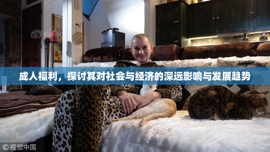 成人福利，探讨其对社会与经济的深远影响与发展趋势