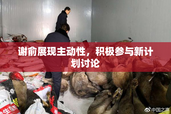 谢俞展现主动性，积极参与新计划讨论