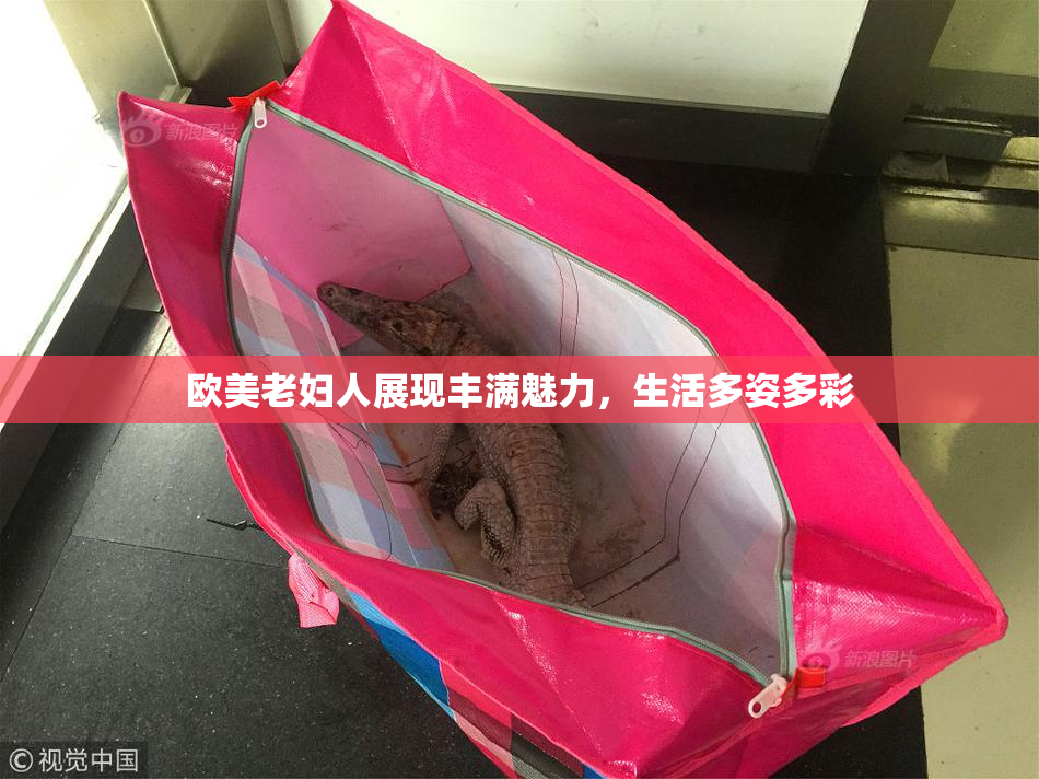 欧美老妇人展现丰满魅力，生活多姿多彩