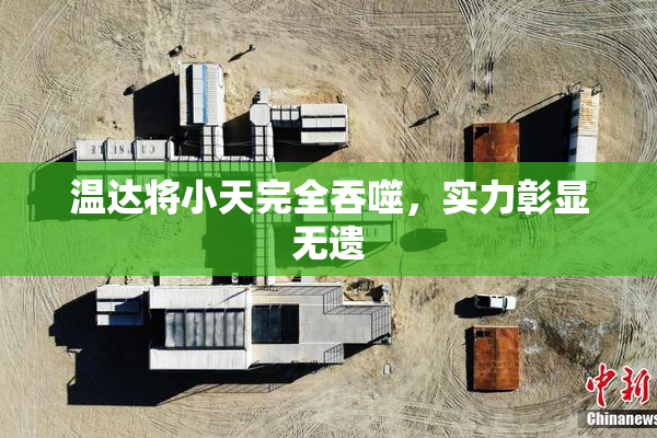温达将小天完全吞噬，实力彰显无遗