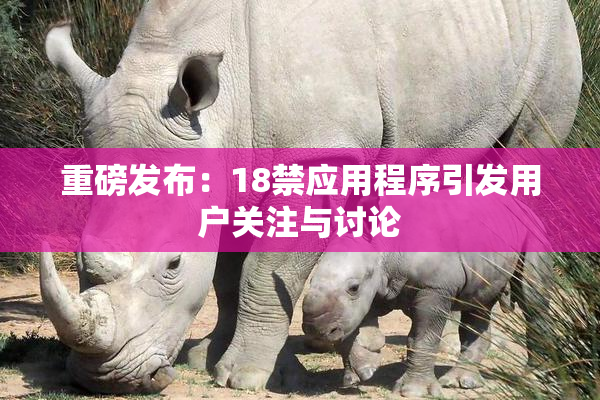 重磅发布：18禁应用程序引发用户关注与讨论