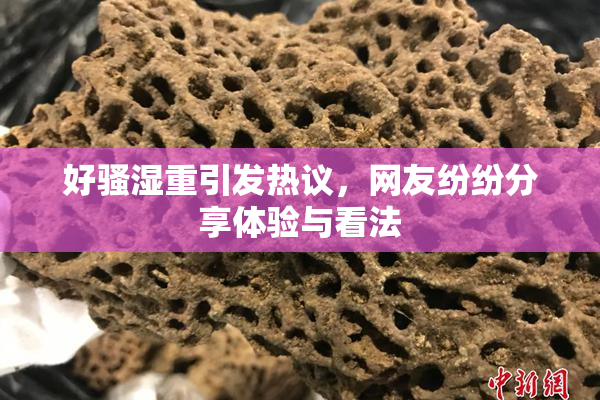 好骚湿重引发热议，网友纷纷分享体验与看法