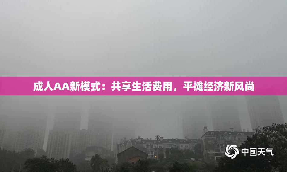 成人AA新模式：共享生活费用，平摊经济新风尚