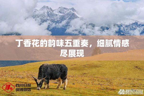 丁香花的韵味五重奏，细腻情感尽展现