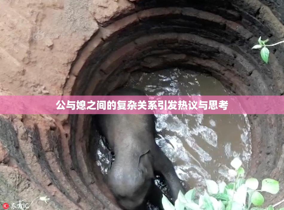 公与媳之间的复杂关系引发热议与思考