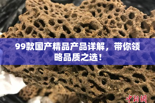 99款国产精品产品详解，带你领略品质之选！