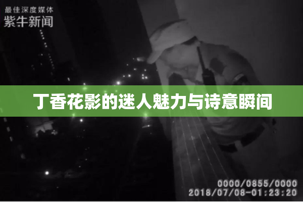 丁香花影的迷人魅力与诗意瞬间