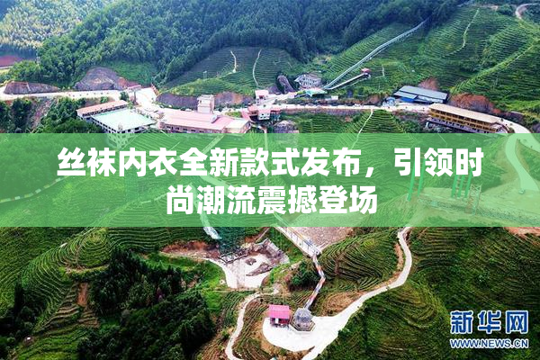 丝袜内衣全新款式发布，引领时尚潮流震撼登场