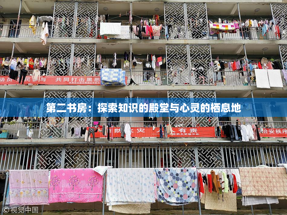 第二书房：探索知识的殿堂与心灵的栖息地