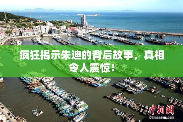 疯狂揭示朱迪的背后故事，真相令人震惊！