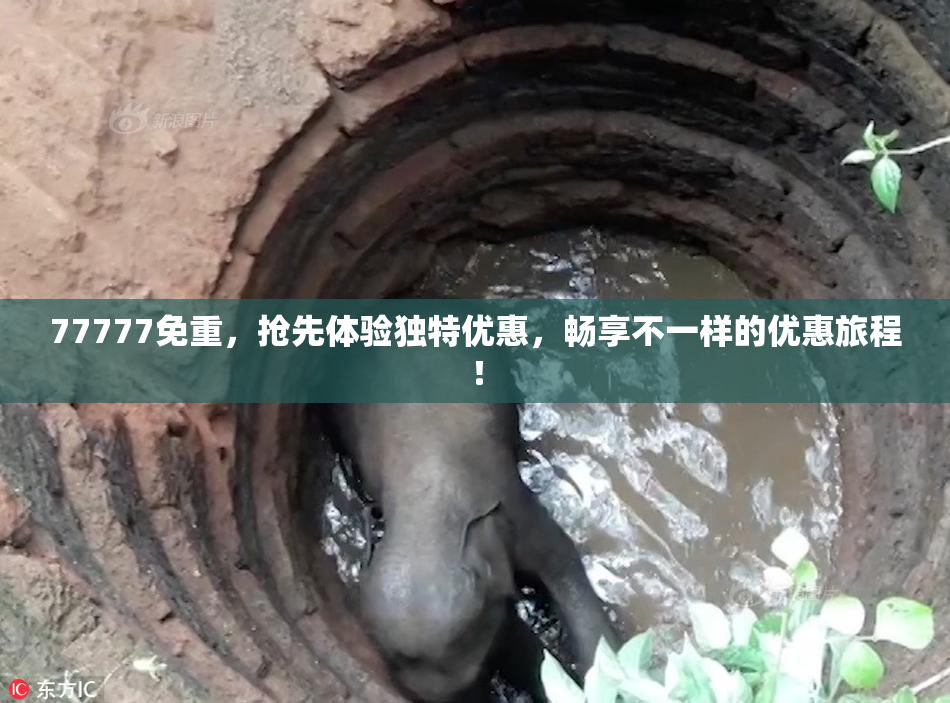 77777免重，抢先体验独特优惠，畅享不一样的优惠旅程！