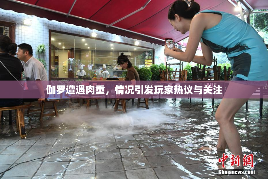 伽罗遭遇肉重，情况引发玩家热议与关注
