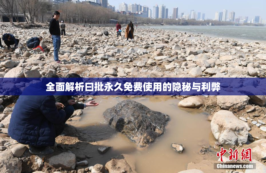全面解析曰批永久免费使用的隐秘与利弊