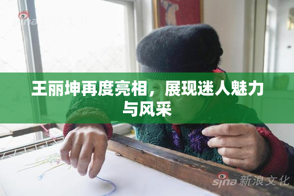 王丽坤再度亮相，展现迷人魅力与风采