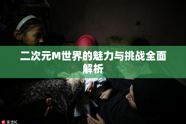 二次元M世界的魅力与挑战全面解析