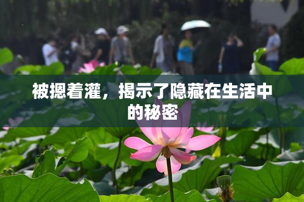 被摁着灌，揭示了隐藏在生活中的秘密