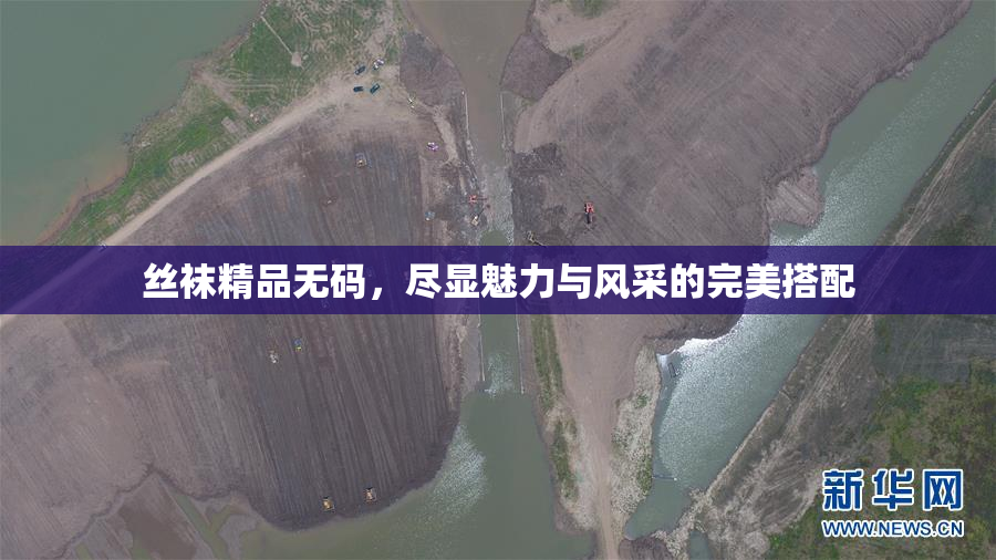 丝袜精品无码，尽显魅力与风采的完美搭配