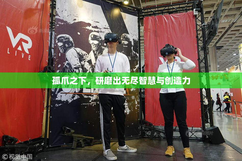 孤爪之下，研磨出无尽智慧与创造力