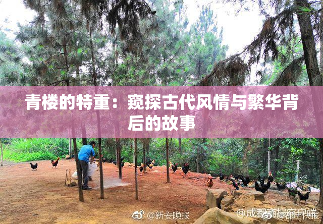 青楼的特重：窥探古代风情与繁华背后的故事
