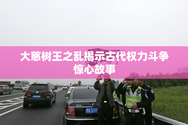 大慈树王之乱揭示古代权力斗争惊心故事