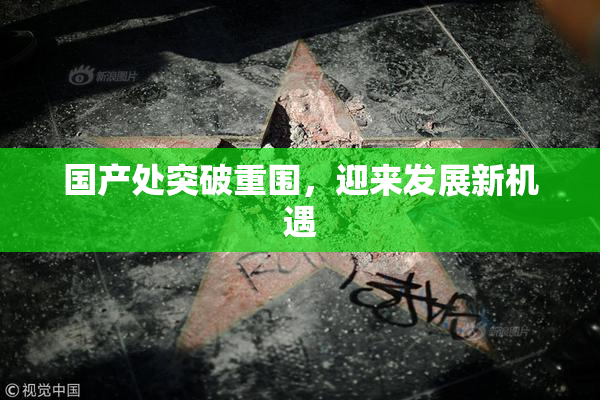 国产处突破重围，迎来发展新机遇