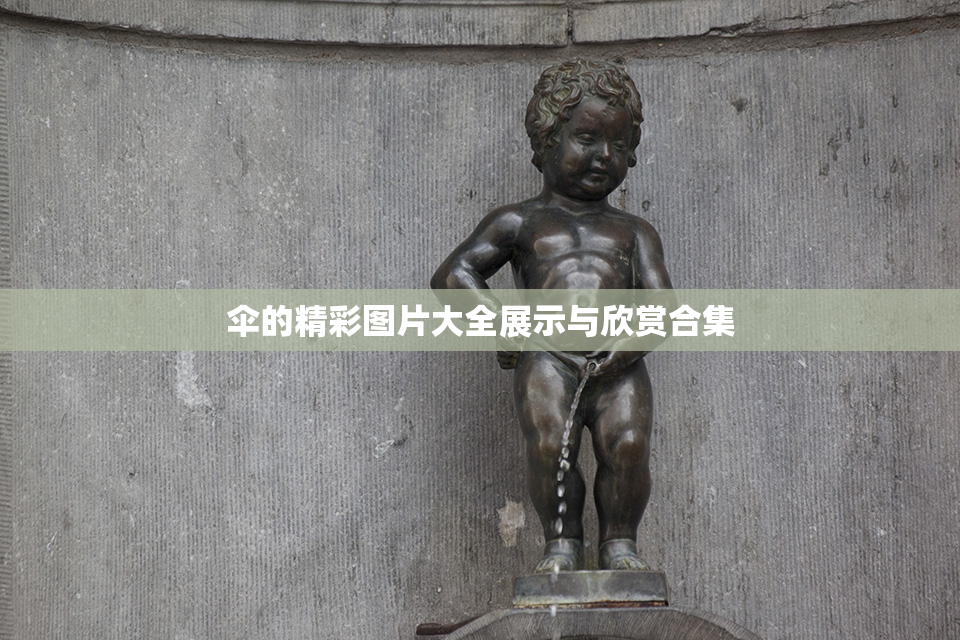 伞的精彩图片大全展示与欣赏合集