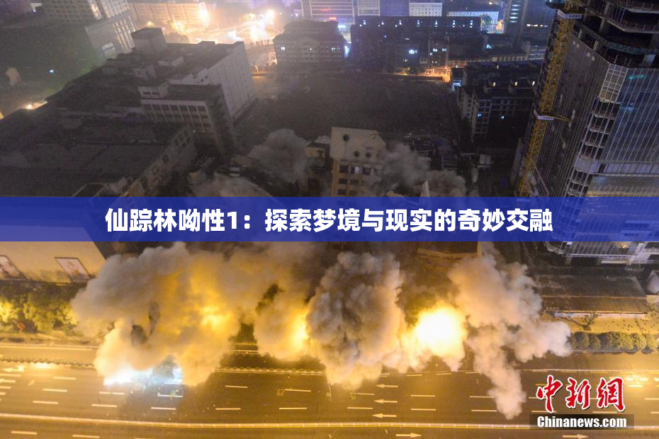 仙踪林呦性1：探索梦境与现实的奇妙交融