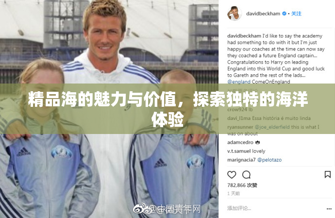 精品海的魅力与价值，探索独特的海洋体验