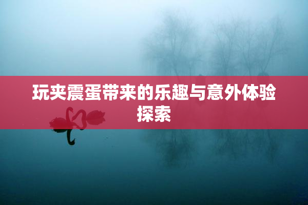 玩夹震蛋带来的乐趣与意外体验探索