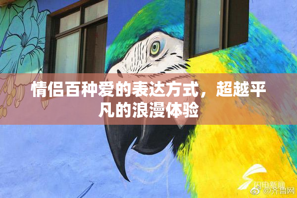 情侣百种爱的表达方式，超越平凡的浪漫体验
