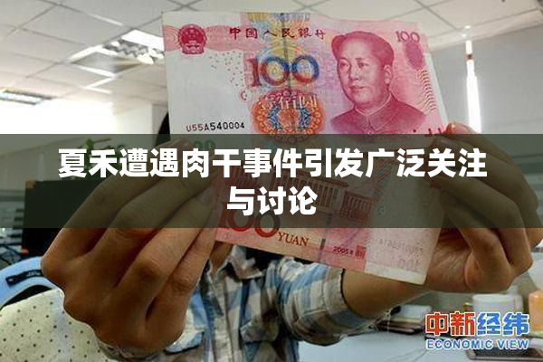 夏禾遭遇肉干事件引发广泛关注与讨论