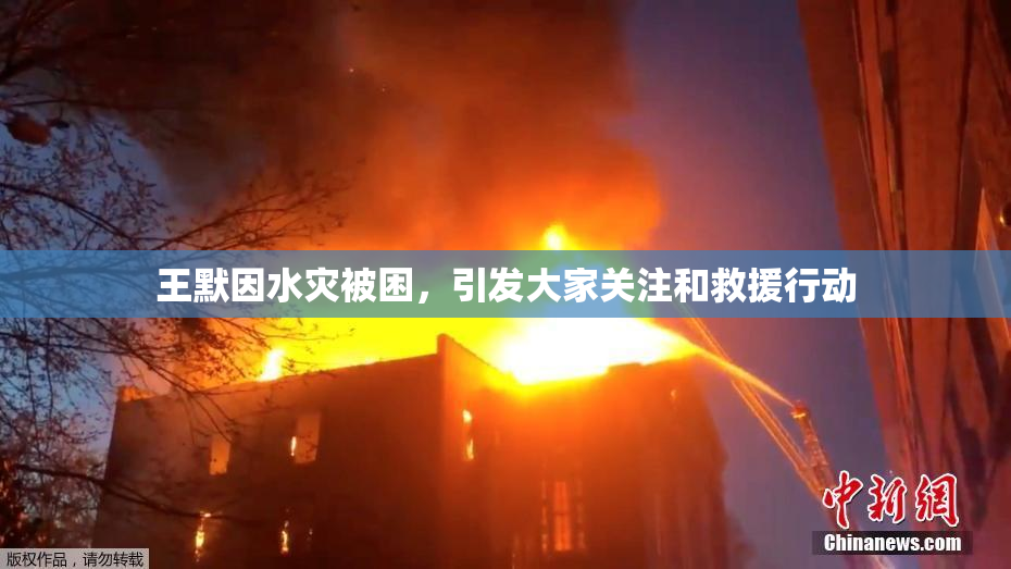 王默因水灾被困，引发大家关注和救援行动