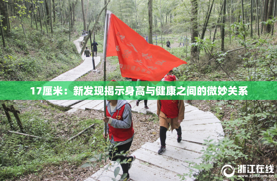 17厘米：新发现揭示身高与健康之间的微妙关系