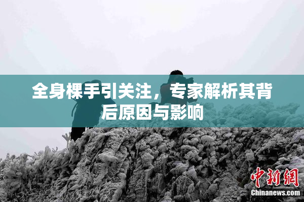 全身棵手引关注，专家解析其背后原因与影响